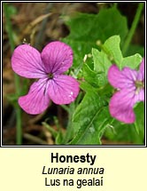 honesty