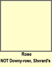 rose,Sherard's downy-rose (rs Shioraird)